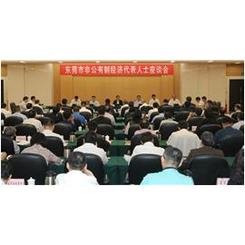 集团董事长曾伟先生受邀参加东莞市非公有制经济人士座谈会